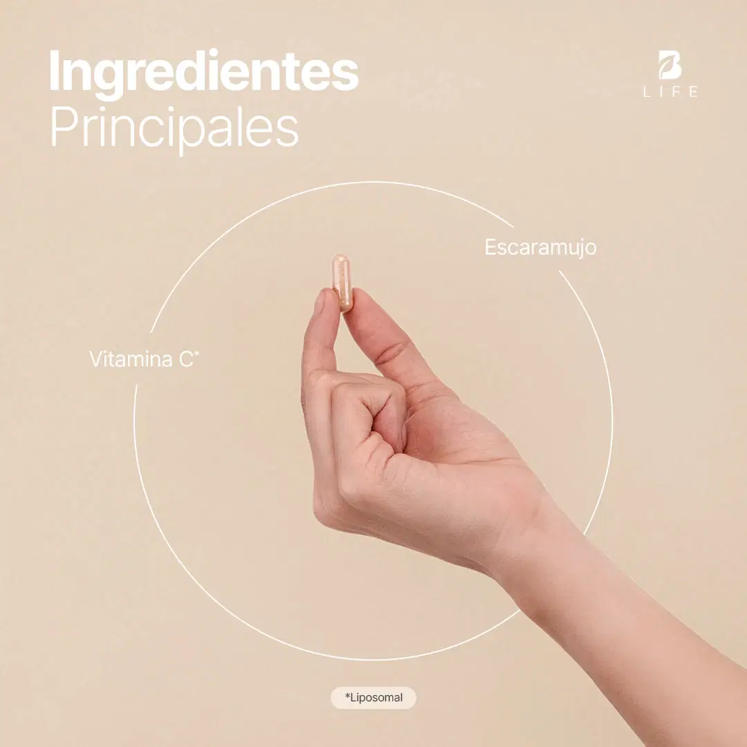 Vitamina C Liposomal | con Escaramujo | 240 cápsulas