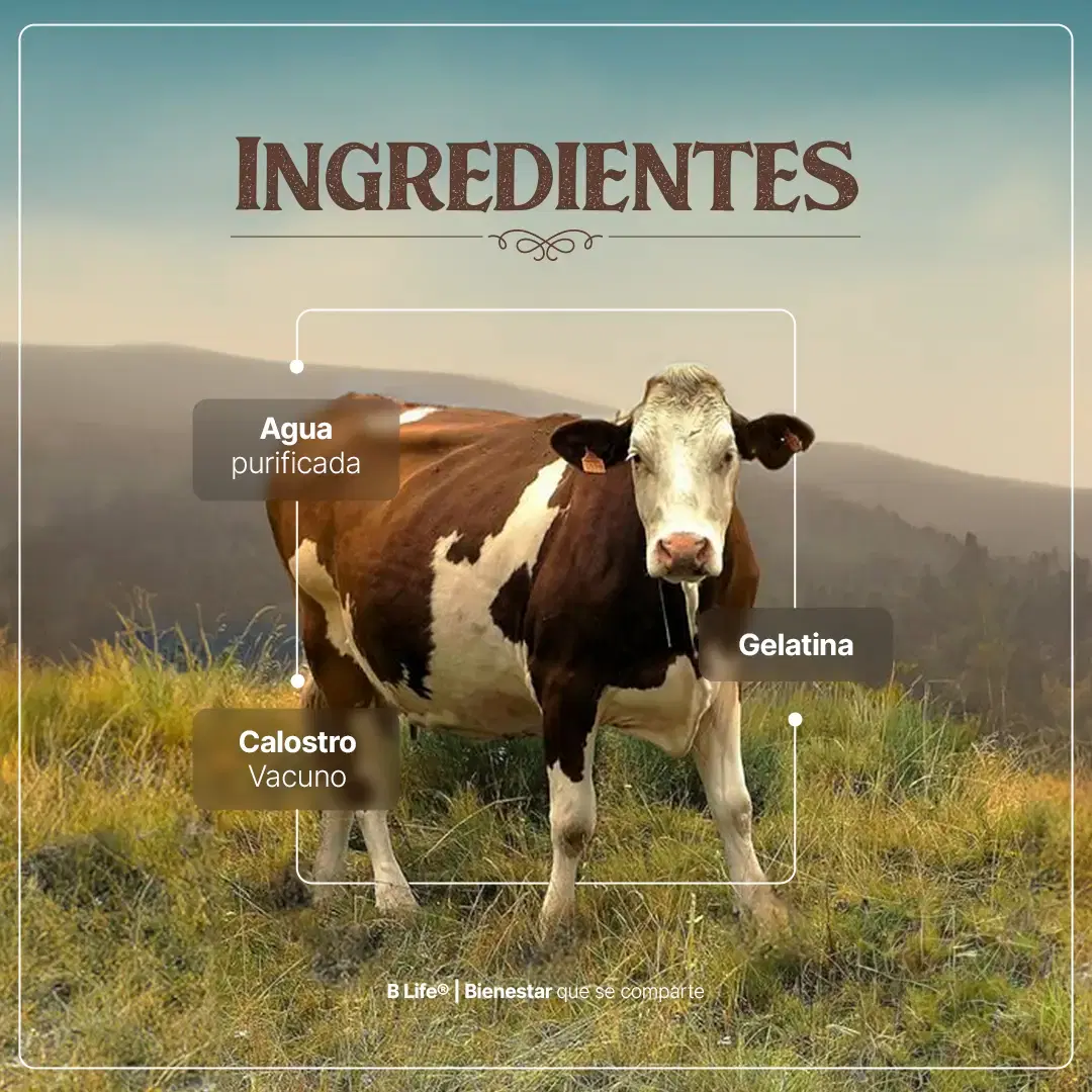 Calostro Vacuno | Concentrado de Nutrientes de la Primera Lactancia | 240 Cápsulas | 1400 mg por porción