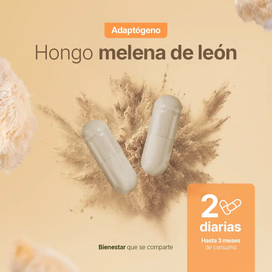Hongo Melena de León Puro | 1000 mg por porción
