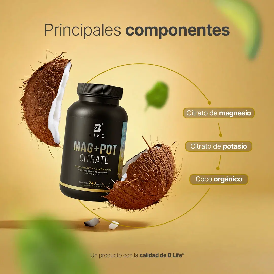 Magnesio y Potasio | Adicionado con coco orgánico | 240 Cápsulas | 1400 mg por porción