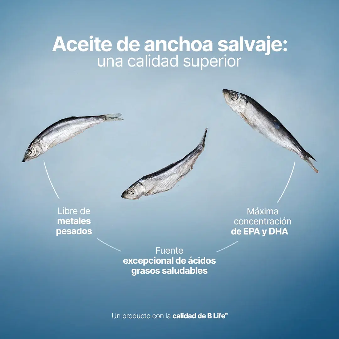 Omega 3 Platinum | Anchoa Salvaje con EPA y DHA | sin Metales Pesados | 1000 mg por porción