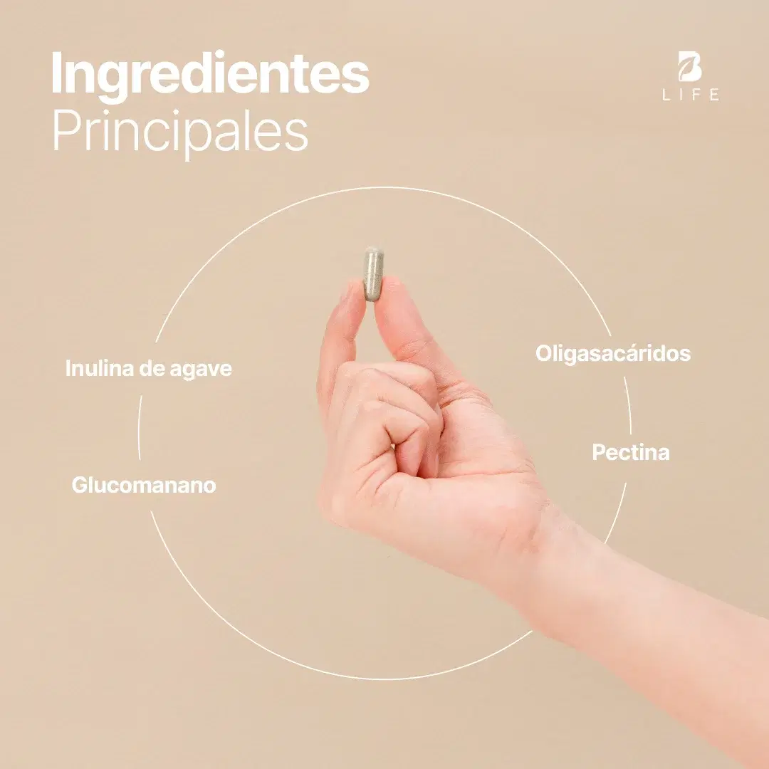 Prebióticos con Inulina, Glucomanano y Pectina | 1000 mg por Porción | 240 Cápsulas
