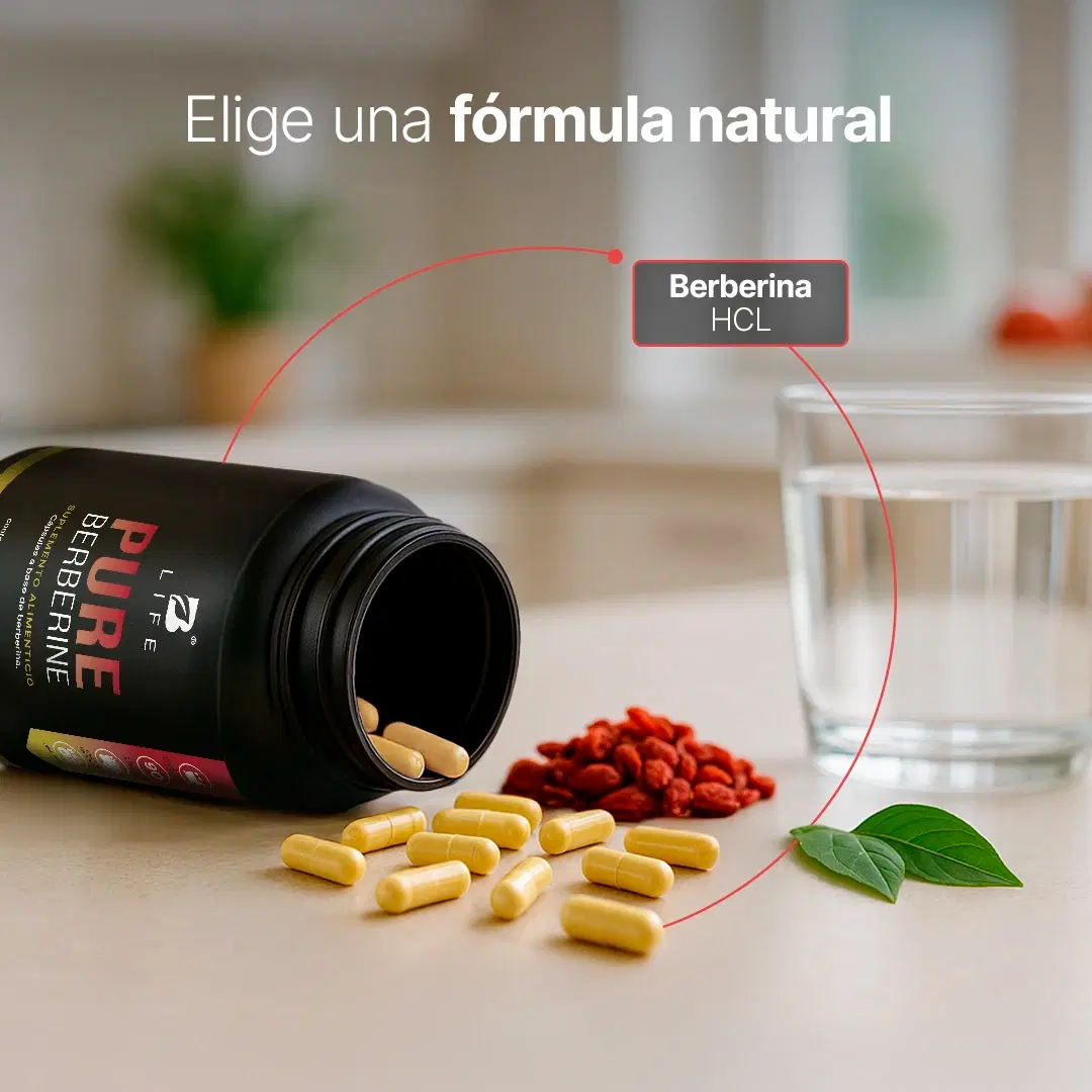 Berberina HCL Pura 500 mg por cápsula | 1000 mg por porción