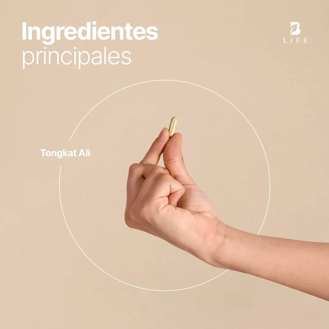 Tong-kat Ali Puro | 1000 mg por porción | 240 Cápsulas